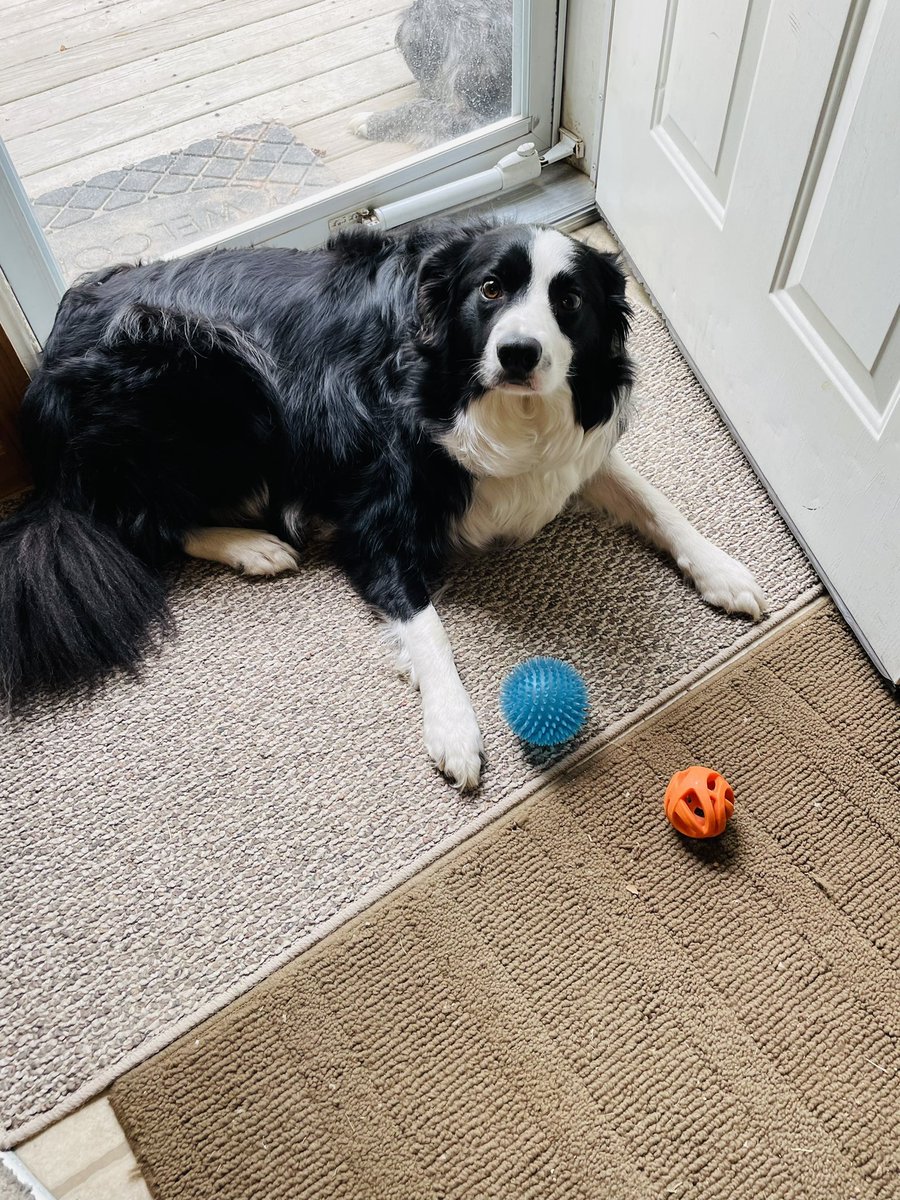 Julie B Smith tweet media