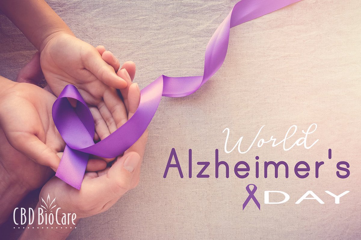 CBD4Relief's tweet photo. #WorldAlzheimersDay
Symptoms:
#MemoryLoss
#MoodChanges
#ShortenedAttentionSpan
Dr Michalski answers questions in a short video:
Can CBD protect the brain?
Is #CBD good prevention for #Alzheimers and #Dementia?
WATCH-https://t.co/UbraYaAZzb
SHOP-https://t.co/DFtWw75VHs https://t.co/UESDg1zrs5