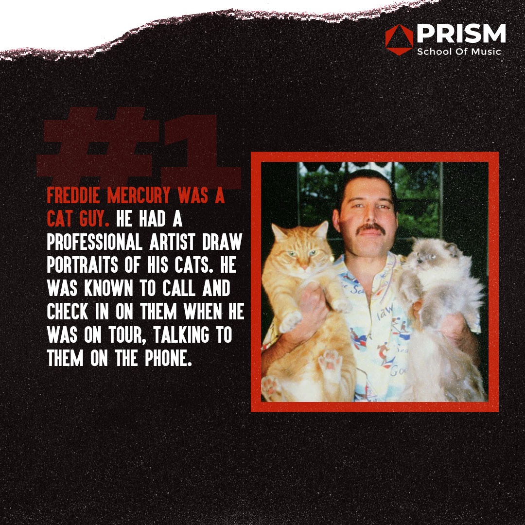 PrismMusic's tweet photo. Known for his flamboyant stage persona and four-octave vocal range, Freddie was quirky and eccentric at times. You might now know these unusual facts about his life!

Share this with a #Queen fan, or a #FreddieMercury lover!

#freddie #mercury #queenband #kensington #london https://t.co/6g5dmK8Cny