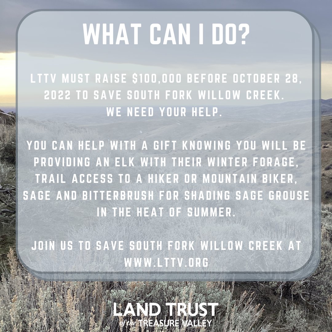 Land Trust of the Treasure Valley (@landtrustlttv) on Twitter photo URGENT: 320 acres of the #BoiseFoothills need your help! Learn more and join us save South Fork Willow Creek: lttv.org/save-south-for…
#boise #boisenews <a href="/KTVB/">KTVB.COM</a> <a href="/KBSX915/">Boise State Public Radio News</a> <a href="/IdahoStatesman/">Idaho Statesman</a> @SarahKBOI #boisetrails #boisehike #openspace <a href="/CityOfBoise/">City of Boise</a> #adacounty #treasurevalley #idaho URGENT: 320 acres of the #BoiseFoothills need your help! Learn more and join us save South Fork Willow Creek: lttv.org/save-south-for…
#boise #boisenews <a href="/KTVB/">KTVB.COM</a> <a href="/KBSX915/">Boise State Public Radio News</a> <a href="/IdahoStatesman/">Idaho Statesman</a> @SarahKBOI #boisetrails #boisehike #openspace <a href="/CityOfBoise/">City of Boise</a> #adacounty #treasurevalley #idaho