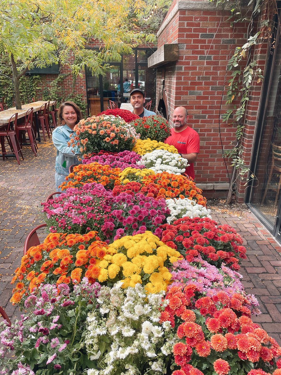 MarketGardenCLE's tweet photo. About to take our #beergarden to the next level. Just in time for the autumn equinox. 🍁🍻 #fallvibes #marketgardenbrewery #beerforpeople
#marketgardenbrewpub #ohiocity https://t.co/Xh4ZaG484H