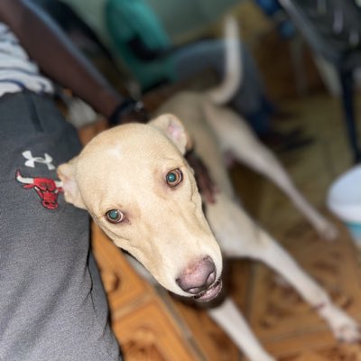 ModouLam17's tweet image. #NewProfilePic