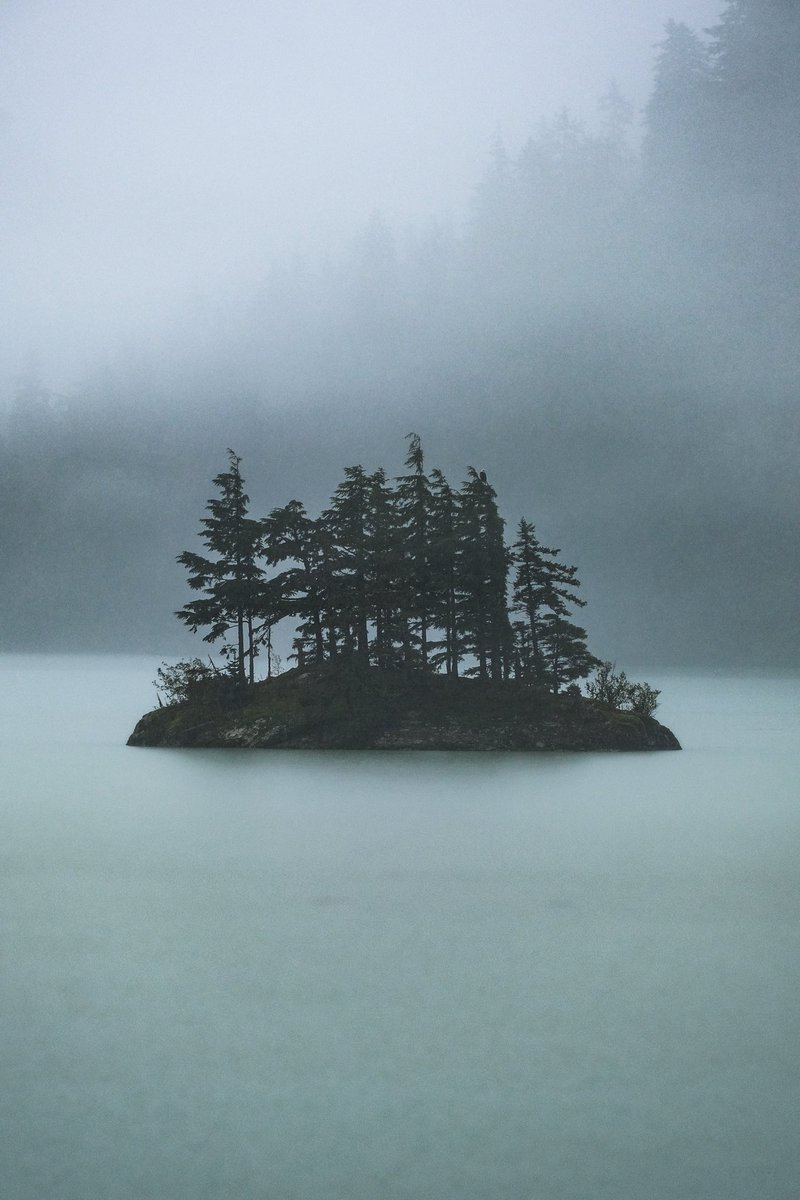 meatisburger's tweet photo. Rainy foggy morning out here in Cordova, Alaska. https://t.co/LdaZy20LSb
