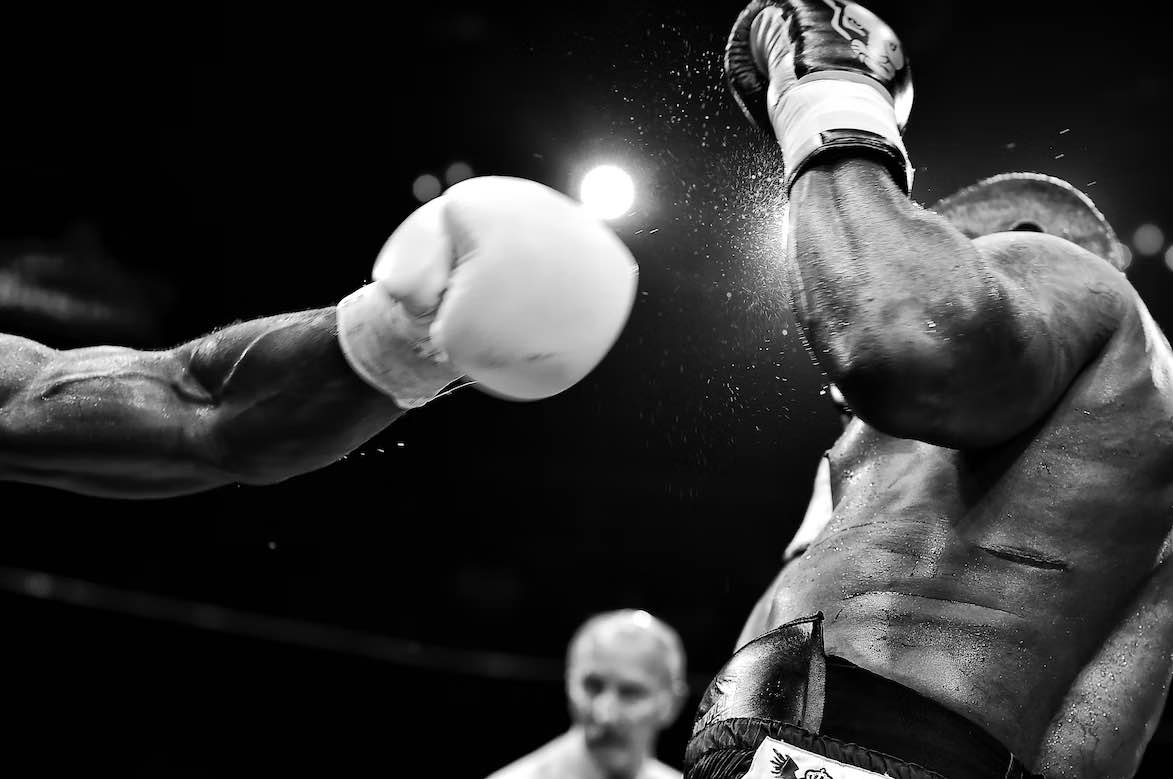 BoxealoInfo's tweet photo. Los boxeadores más destacados del momento https://t.co/q9M4Y0T6sr https://t.co/Gk2BD4AFY6