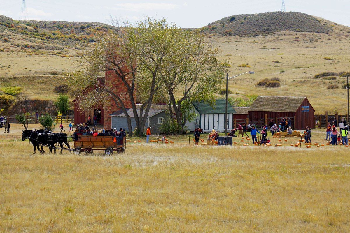 AustriaDenver's tweet photo. Lone Tree fall festival is coming up on 10/15 from 10am-2pm at the Schweiger Ranch! Fun for the entire family. You don't want to miss this. @RidgeGateCO @CityofLoneTree #historycolorado @AustriainUSA #AustriansAbroad #AustriansinColorado
https://t.co/K7xvnRnbTR https://t.co/w1HiubzBVC