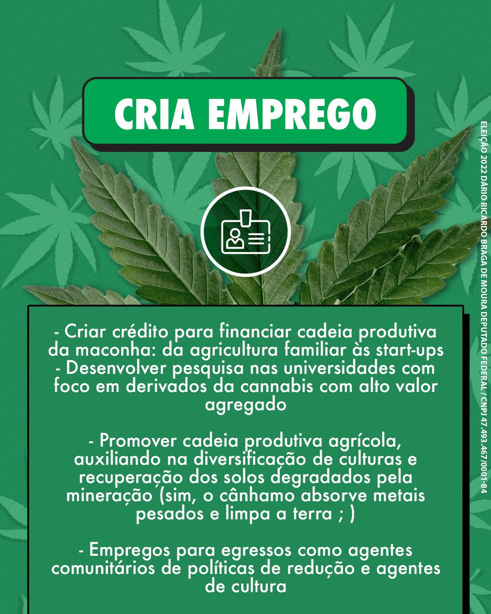 CRIA EMPREGO
MACONHA É SOLUÇÃO

- Criar crédito para financiar cadeia produtiva da maconha: da agricultura familiar às start-ups 
- Desenvolver pesquisa nas universidades com foco em derivados da cannabis com alto valor agregado
- Promover cadeia produtiva agrícola, auxiliando na diversificação de culturas e recuperação dos solos degradados pela mineração (sim, o cânhamo absorve metais pesados e limpa a terra ; )
- Empregos para egressos como agentes comunitários de políticas de redução e agentes de cultura 
