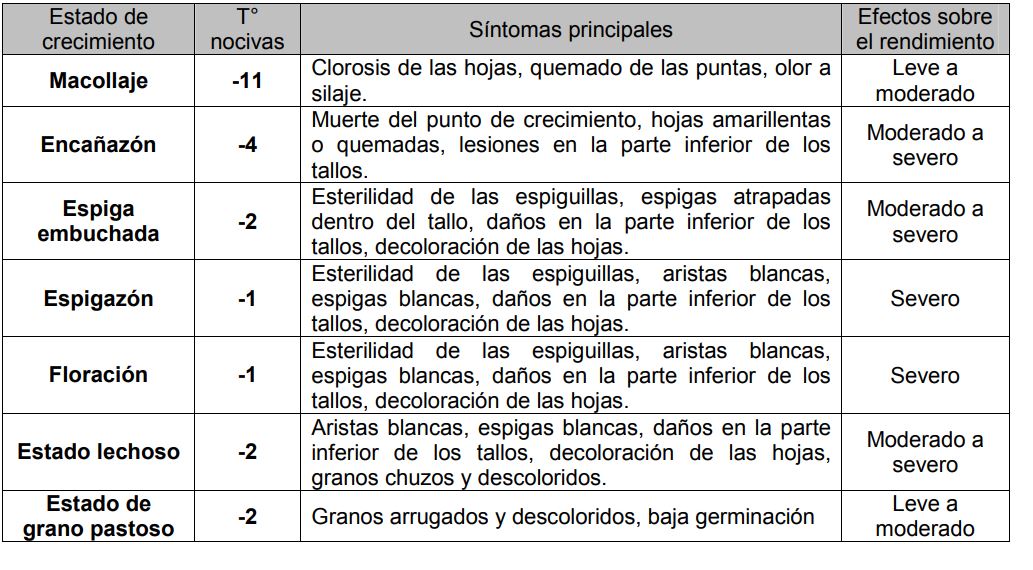 guillermoallo's tweet photo. 🌾❄️Heladas en Cereales
1⃣Susceptibilidad según momento de ocurrencia para Trigo-Avena-Cebada
2⃣Umbral de T° orientativas por debajo del cual se produce daño (con exposición de 2 hs)
3⃣Eventos extremos de T° MÍN ocurridos el 13/9  fuente: @INTAClimayAgua 
4⃣Daños (fuente: RADAR) https://t.co/QQpkH81knt