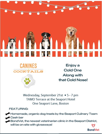 Seaport Boston Hotel (@seaportboston) on Twitter photo Your dog wants a night out - bring him or her to Canines & Cocktails tonight! On TAMO Terrace, 5 - 7 pm; pups enjoy complimentary organic dog treats and you can have a cold one, while you nuzzle up with that cold nose! <a href="/BondVet/">Bond Vet Clinic</a> #Boston #seaportdistrict #dogfriendly Your dog wants a night out - bring him or her to Canines & Cocktails tonight! On TAMO Terrace, 5 - 7 pm; pups enjoy complimentary organic dog treats and you can have a cold one, while you nuzzle up with that cold nose! <a href="/BondVet/">Bond Vet Clinic</a> #Boston #seaportdistrict #dogfriendly