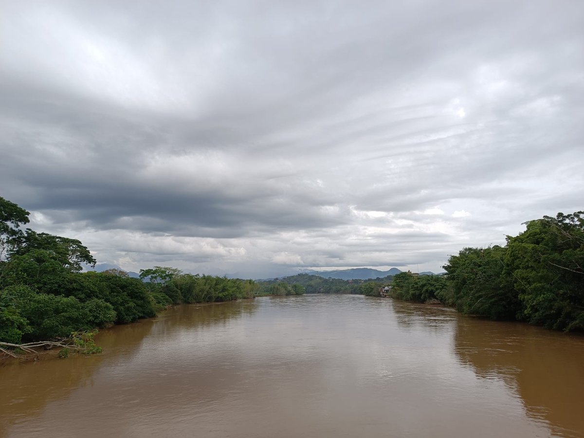 InstitutoSINCHI's tweet photo. Desde el @InstitutoSINCHI agradecemos la invitación de #AmazoniaSostenibleParaLaPaz de @PnudColombia, #ProBosques de @giz_colombia y @corazonamazonia al Taller @consonante_lab de la @FLIP_org en San Vicente del Caguán, #Caquetá. https://t.co/PZcJhZvHvB