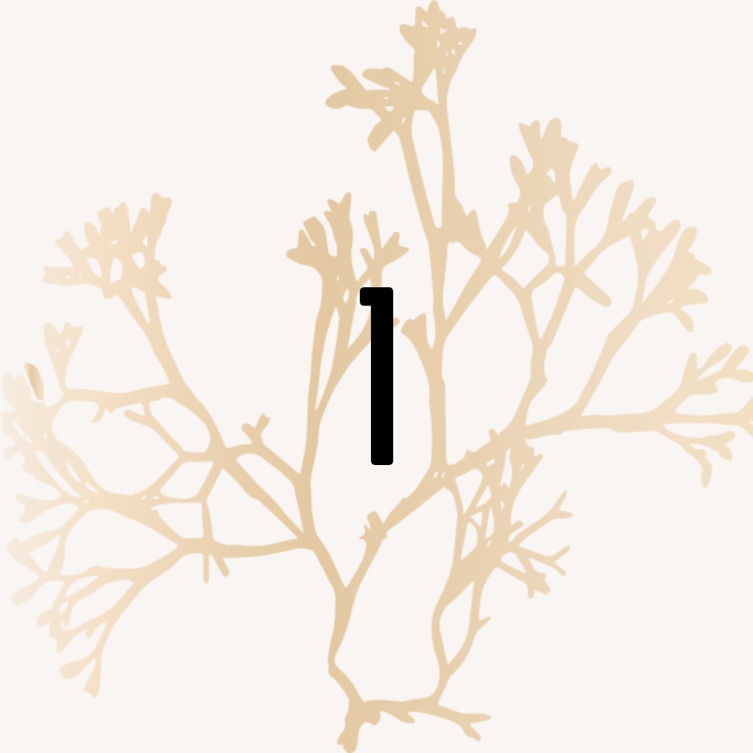 GenerateHope's tweet image. 1 day until A Story of Freedom gala!⁠
-⁠
-⁠
- ⁠
#humantrafficking #antitrafficking #endhumantrafficking #enditmovement #humantraffickingawareness #nonprofit #annualfundraiser #gala #endsextrafficking