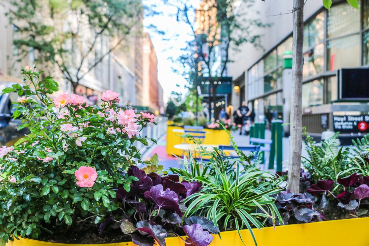 Notice the new planters all around DTBK! 🌳 We've expanded our #SharedStreets network with lush greenery + art — part of the Public Realm Action Plan, which prioritizes pedestrians + cyclists. 🚸 Learn more → bit.ly/DTBKPublicRealm @BIG_Architects @WXYStudio @NYC_DOT