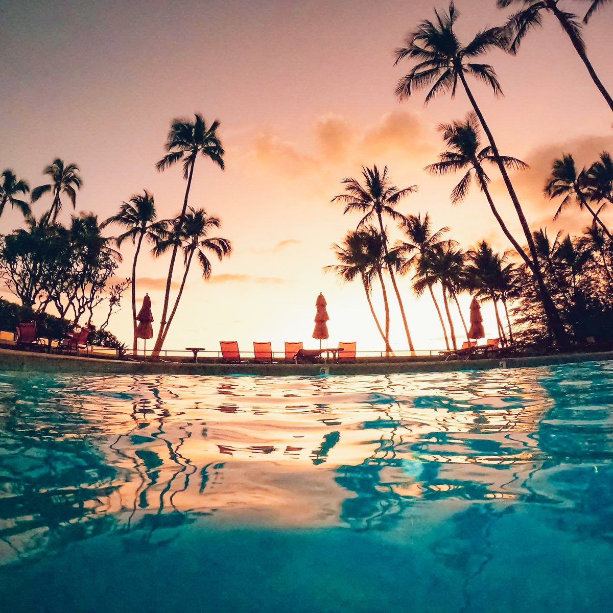 Funjet Vacations tweet media