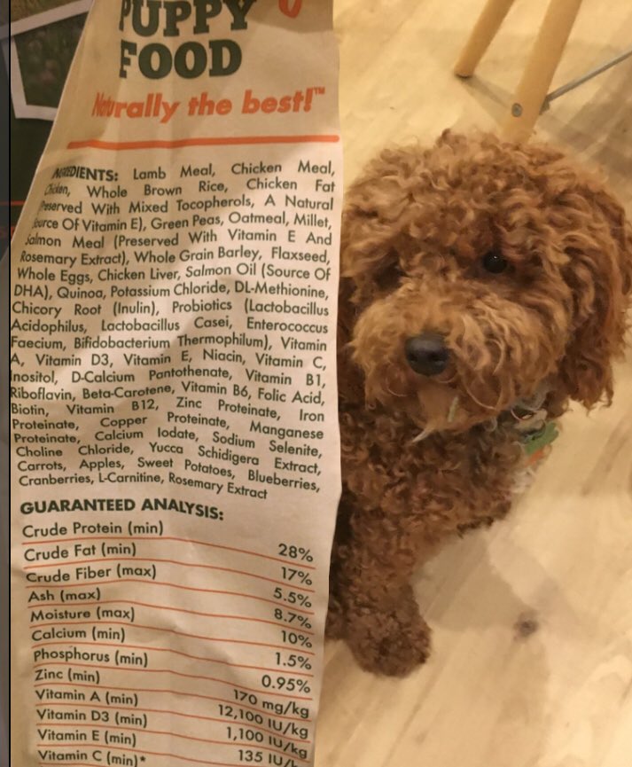 wilsonmakes's tweet photo. @RobertLustigMD @DrCaseysKitchen After hearing this podcast, I told my wife I’d prefer to eat my dog’s food on a bed of frisée rather than seed oil infested Impossible or Plant based Burgers. https://t.co/XMyXAvlD3S