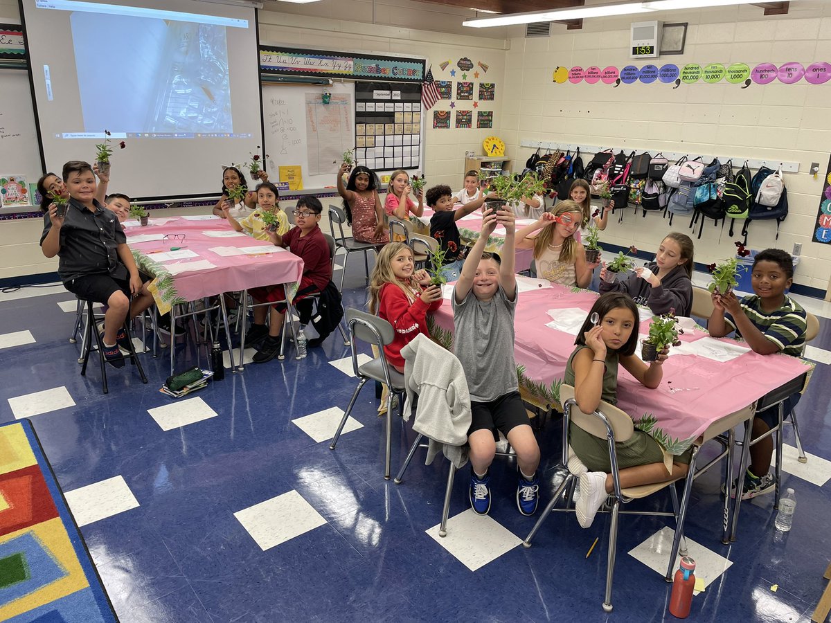 Mrs. Hanlon's 4th Grade Class (@hanlon_lds) on Twitter photo Getting ready to explore plant parts and their functions in Science. 🌺🔍<a href="/DonovanSchool/">Laura Donovan School</a> <a href="/Supervisor_LDS/">MonicaHittinger</a> @LDSPrincipal #frs4rkids Getting ready to explore plant parts and their functions in Science. 🌺🔍<a href="/DonovanSchool/">Laura Donovan School</a> <a href="/Supervisor_LDS/">MonicaHittinger</a> @LDSPrincipal #frs4rkids