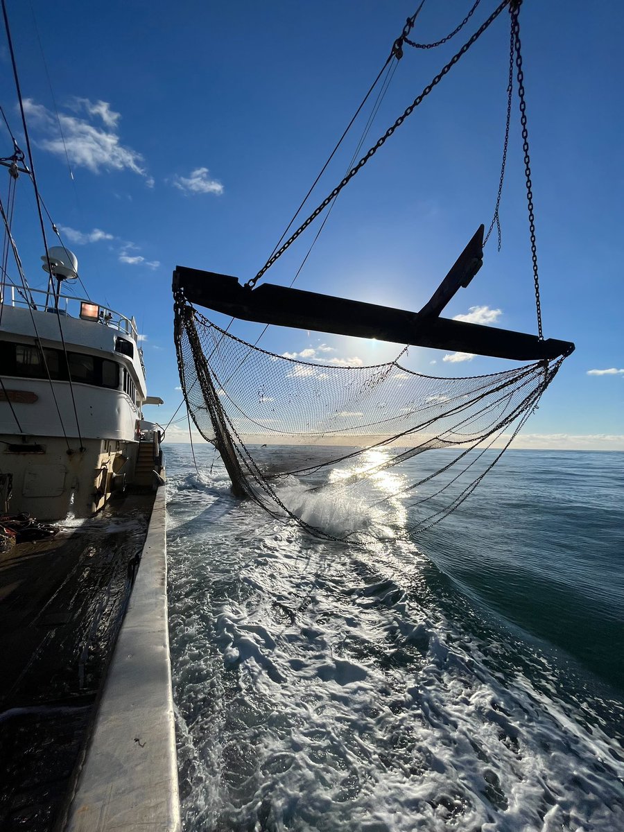 Vissersbond's tweet photo. Bedrijfssurvey #tarbot en #griet deze week aan boord bij de UK 237 van schipper @JuriePost. @btscholten vanuit de sector mee als waarnemer en als ondersteuning van de @WURmarine #kottervisserij #onderzoekssamenwerking https://t.co/O7qR3NjG6c