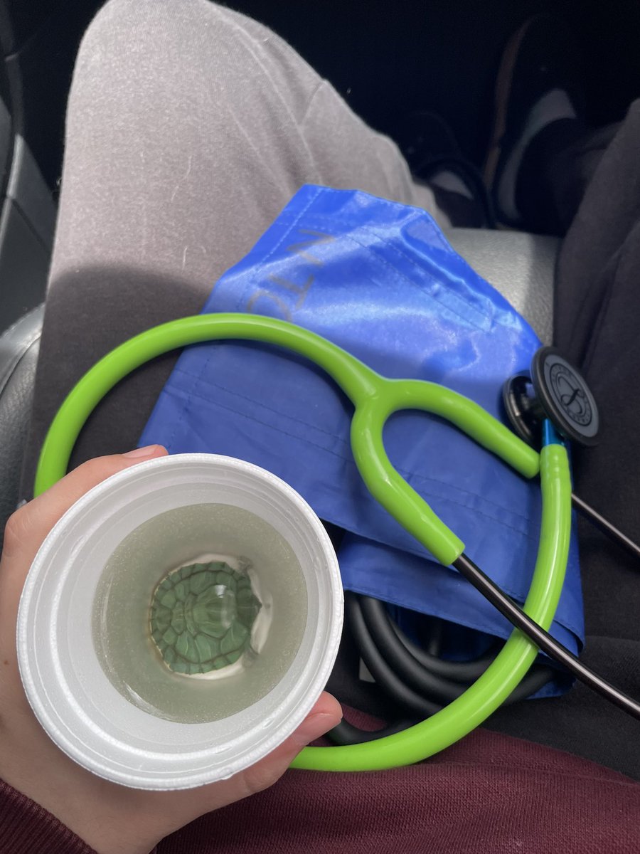 nathytol98's tweet photo. Mi mamá me pidió favor de irle a tomar la presión a un su amigo veterinario y me pago con una tortuga! Así si me gusta https://t.co/qkNKVuo1M4