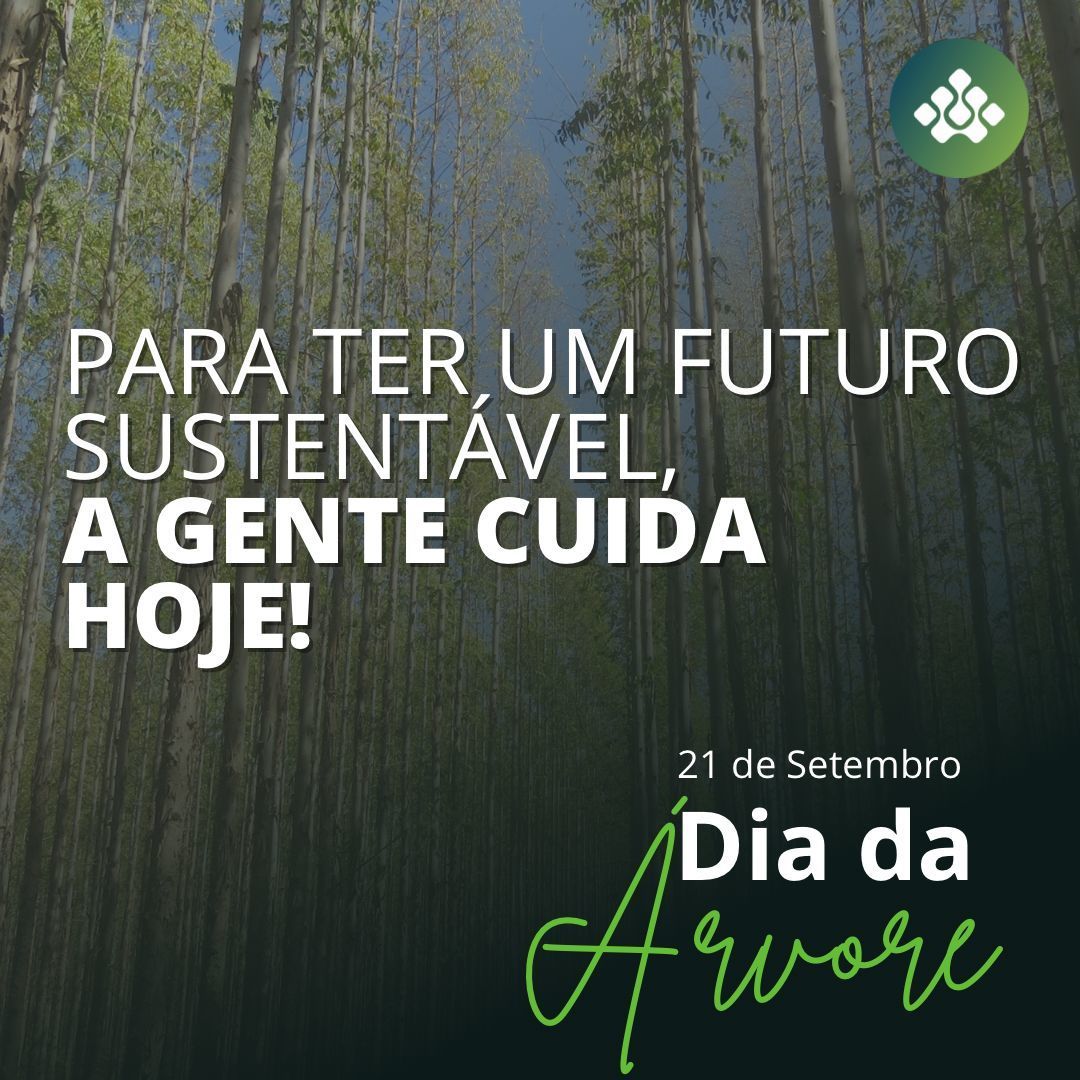 treeviaforest's tweet image. Matéria prima da vida e do nosso setor. Importante hoje e sempre, sendo a maior herança que podemos deixar. 

#treevia #florestas