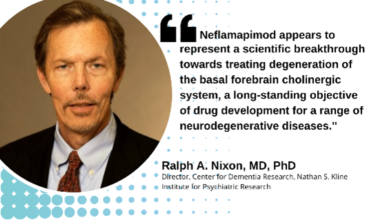 EIP_Pharma's tweet photo. Preclinical data on neflamapimod’s MOA coupled with early clinical data suggest potential efficacy in treating root cause of DLB. See today’s paper: 
#Dementia #Lewybodies @NatureComms
https://t.co/nfX7HGNx5K https://t.co/1XfRpfZbog
