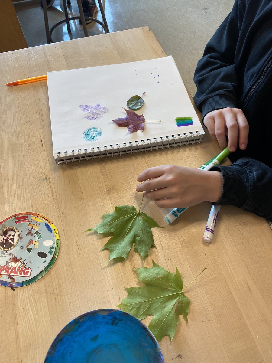 Amanda Frederick tweet media