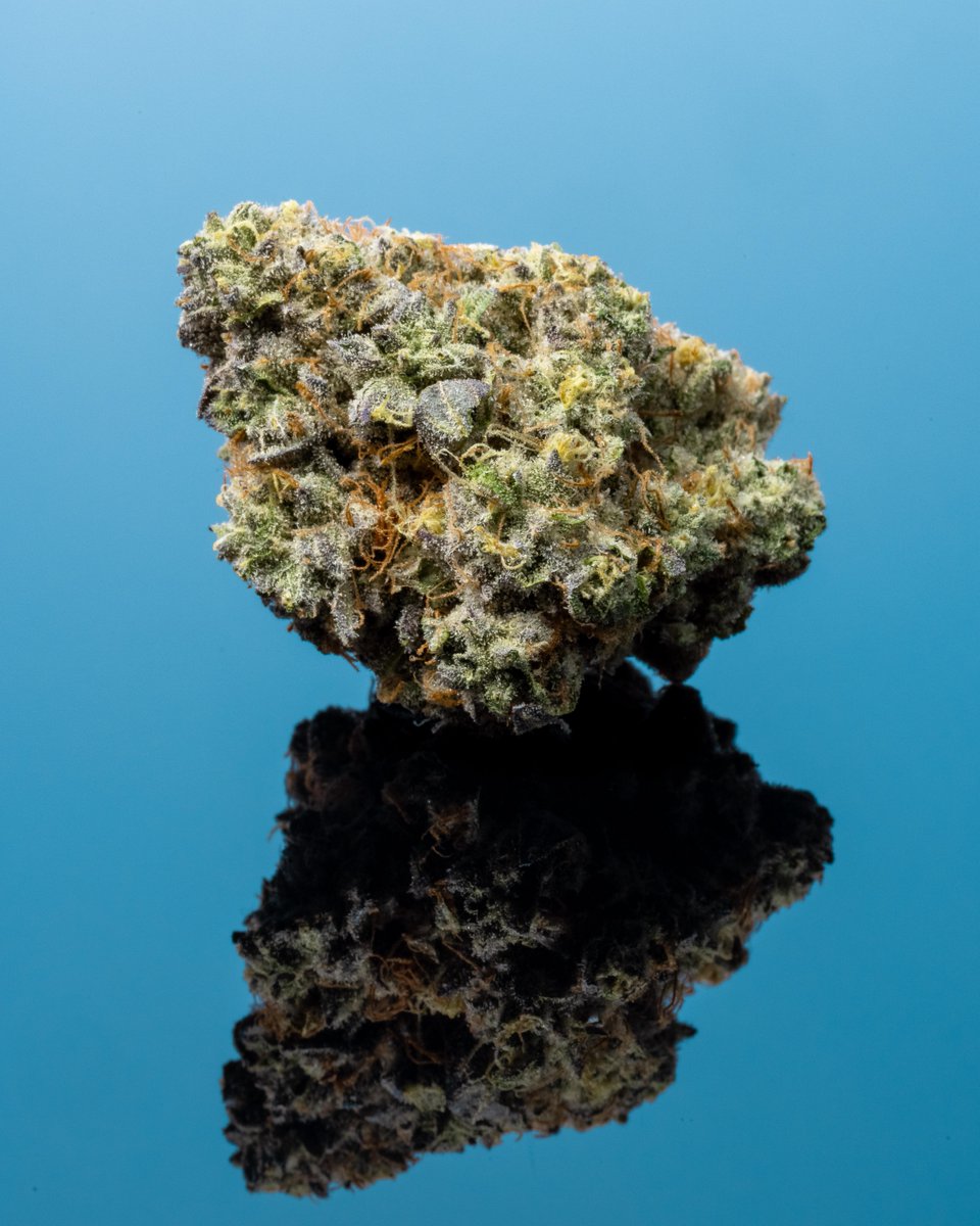 cookiesglobal's tweet photo. Like for { 2090 Sh*t } , RT for { Gary Payton } 🤔 @Pieguy420 https://t.co/YAmJNyOaOH