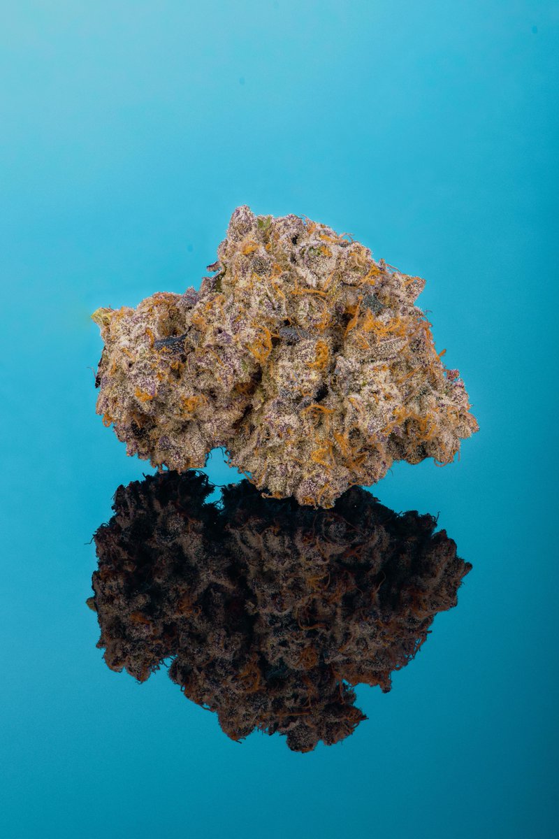 cookiesglobal's tweet photo. Like for { 2090 Sh*t } , RT for { Gary Payton } 🤔 @Pieguy420 https://t.co/YAmJNyOaOH