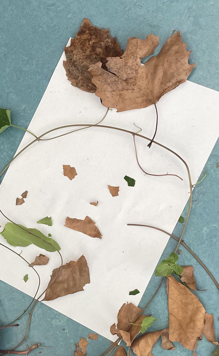 MissMorgan_SF's tweet photo. eTwinning with group 1/2 at KC Caleidoscoop! We made nature portraits from leaves and sticks we found whilst exploring outside. Looking good! @SuchFunDB @eTwinning_nl 
We are excited to see what the other countries create! https://t.co/iiM0jKeJcK
