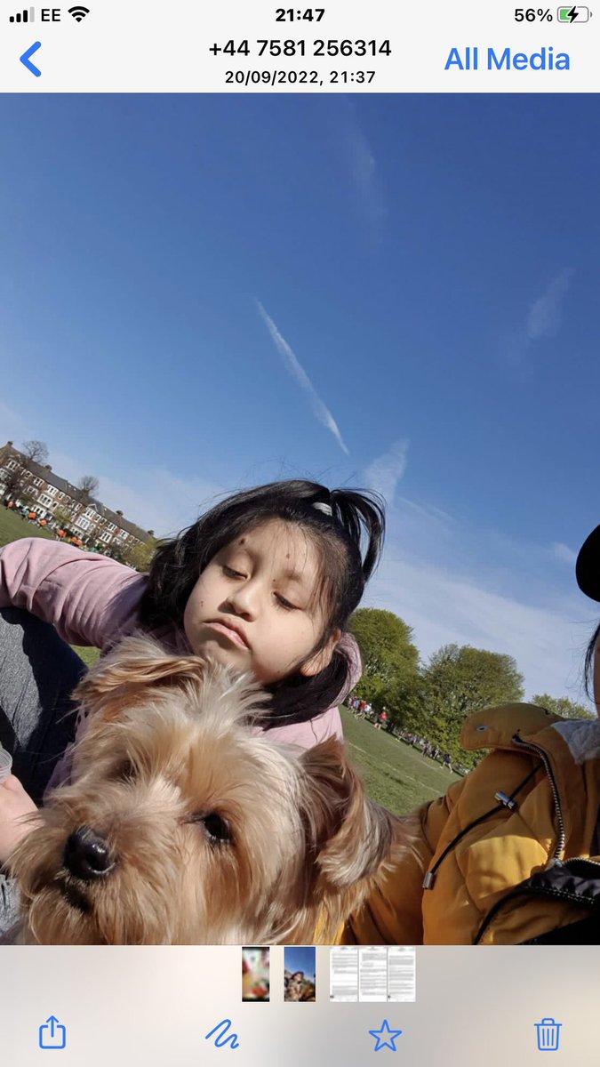 JacquiSaid's tweet photo. I have found out dog is at a rescue @HarrietHarman thanks for your letter . We will forward the rest of this information to your email. #Petlog changed details today . Therapy dog for Iris who has #KabukiSyndrome Chanel is a trained therapy dog . #GetChanelback. https://t.co/D3kFUwOiqA