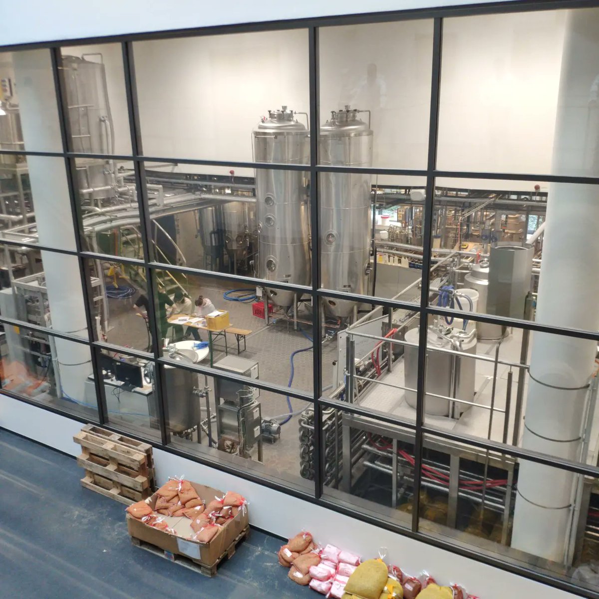 schebraeu's tweet photo. In the VLB Berlin pilot #brewery. Thanks to the team for walking is through the brewing process! 🙏 Such a pleasure to learn from the pros! #brewing #craftbeer #winterbock https://t.co/fhRXMptkby