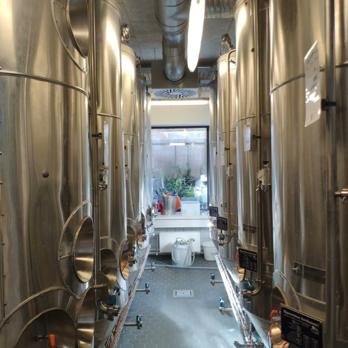 schebraeu's tweet photo. In the VLB Berlin pilot #brewery. Thanks to the team for walking is through the brewing process! 🙏 Such a pleasure to learn from the pros! #brewing #craftbeer #winterbock https://t.co/fhRXMptkby