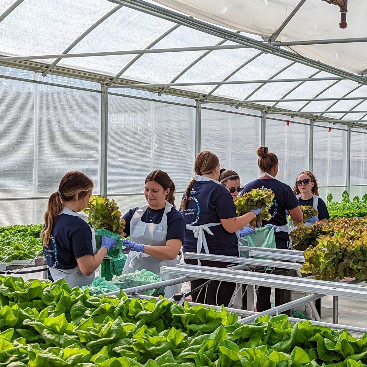 The Foodbank, Inc. tweet media