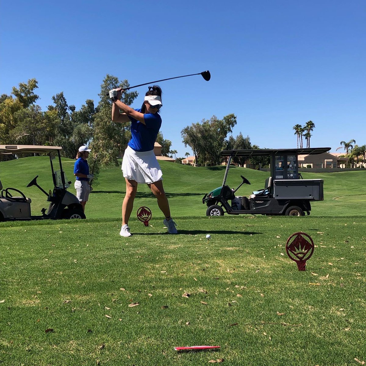 APTA AZ SSIG tweet media