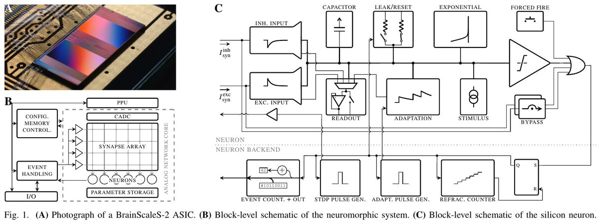 Electronic Vision(s) - in memoriam Karlheinz Meier (@brainscales) on Twitter photo Read all about the #neuromorphic circuits giving BrainScaleS-2 its unique features, flexibility and unprecedented accuracy! Accepted for <a href="/IEEEICECS/">IEEE ICECS 2022</a> 2022: arxiv.org/abs/2209.09280! Read all about the #neuromorphic circuits giving BrainScaleS-2 its unique features, flexibility and unprecedented accuracy! Accepted for <a href="/IEEEICECS/">IEEE ICECS 2022</a> 2022: arxiv.org/abs/2209.09280!