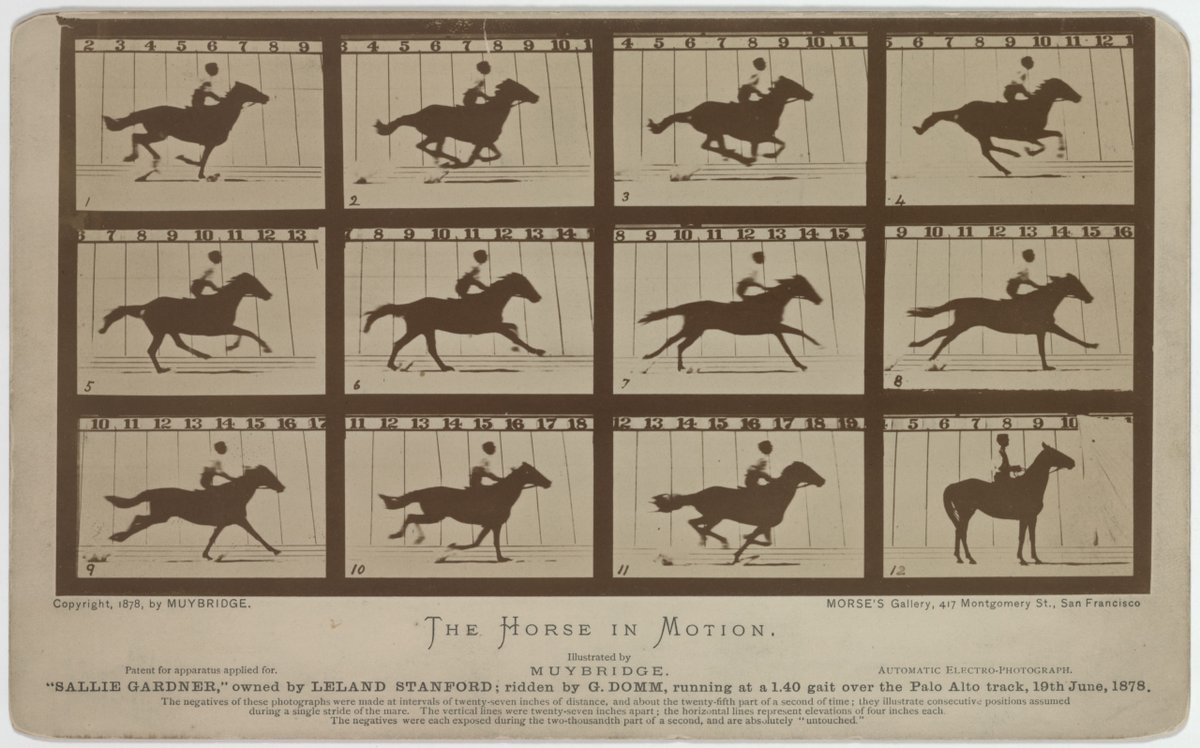 マイブリッジは、馬のギャロップを何度も撮影していて、、一番有名な写真は、1枚目(と2枚目)の連続写真。で、馬と騎手の頭部の黒さは光の再現としてちょっとおかしい塗りつぶしを感じる。シルエット化させることが目的となっているだろう。その後黒人のジョッキーなどの写真が撮られてるはず。 