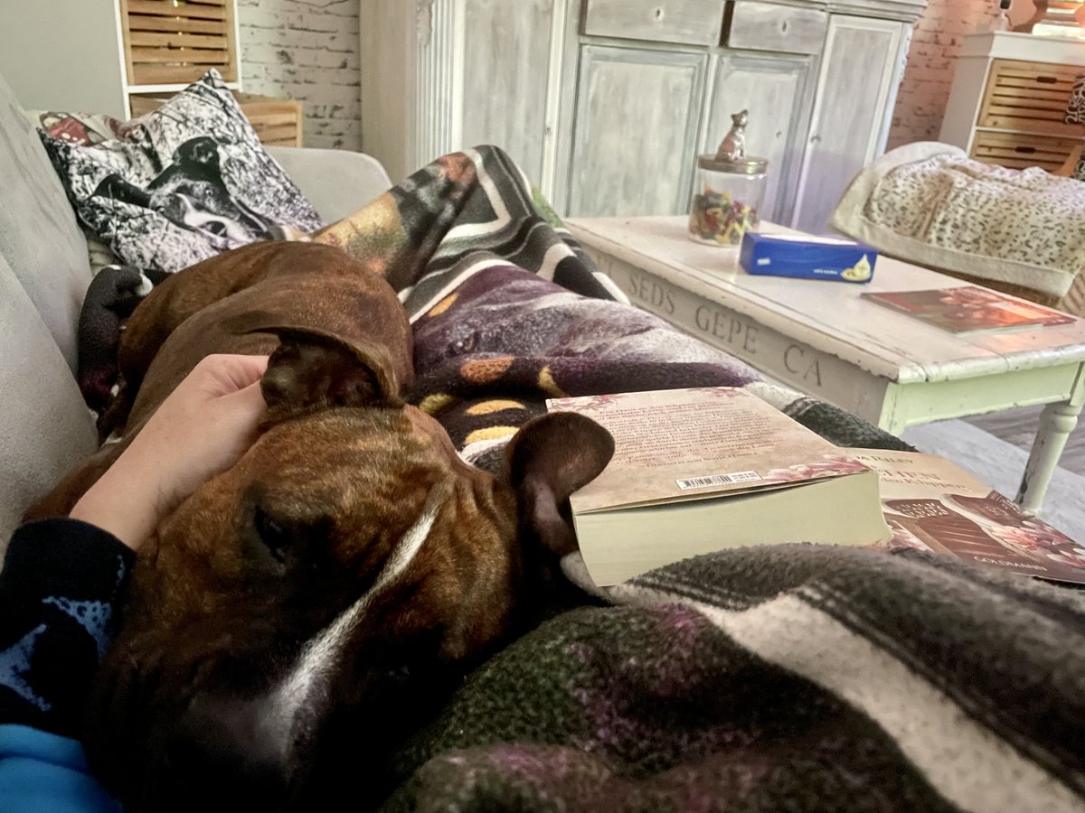 BiKaZi's tweet photo. Wenn du endlich bekommst, was du dir schon ewig gewünscht hast- und es sogar noch viel schöner ist als du es dir vorgestellt hast. https://t.co/HZ7z509QhI