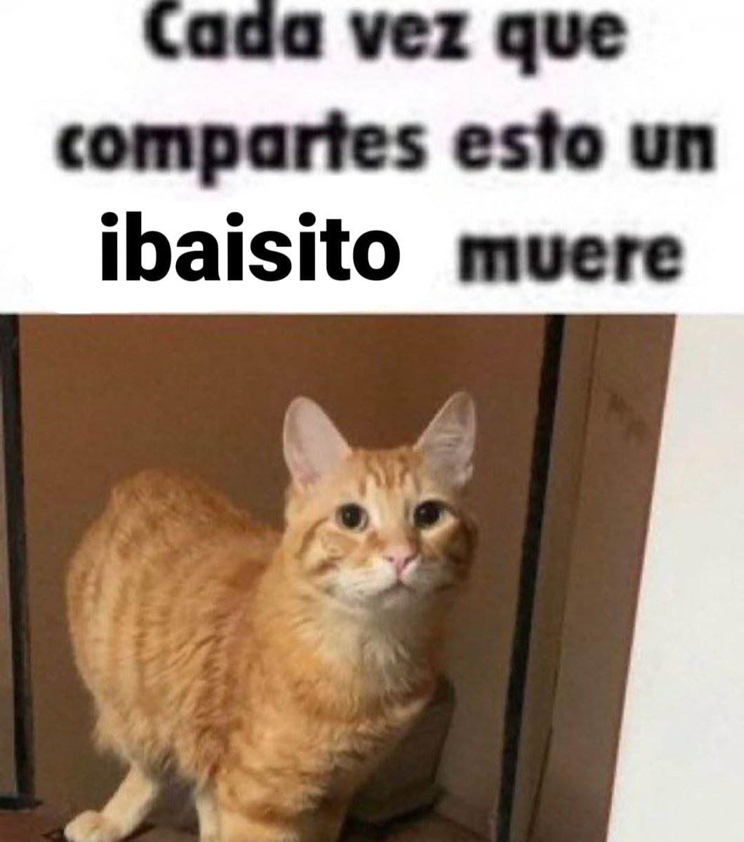Elmiillor's tweet photo. El futuro es incierto pero prometedor. https://t.co/gkXTzz8rOJ