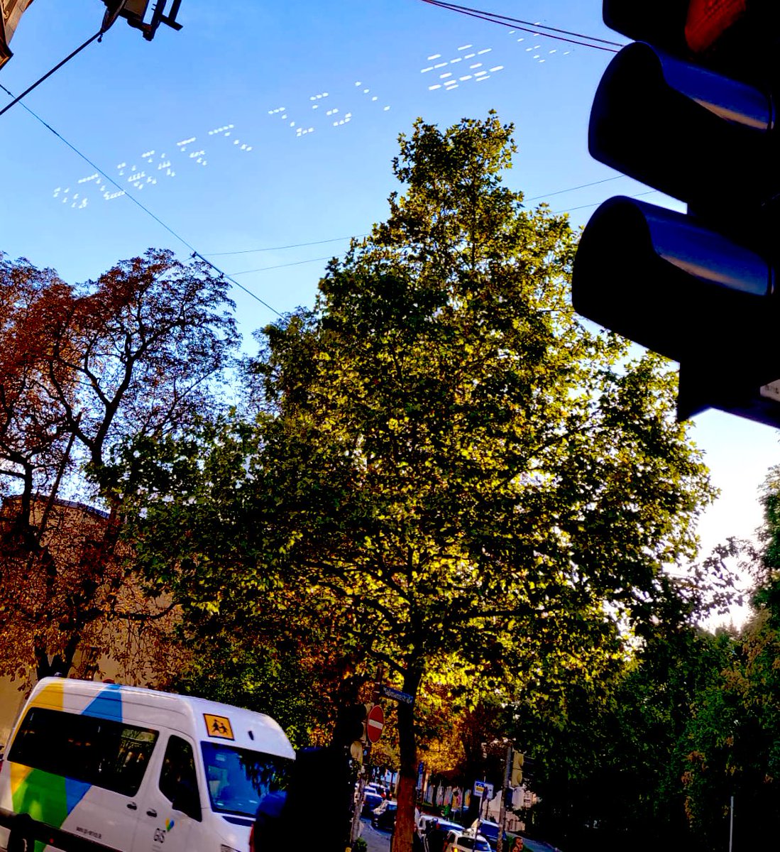 Mike Lingenfelser tweet media