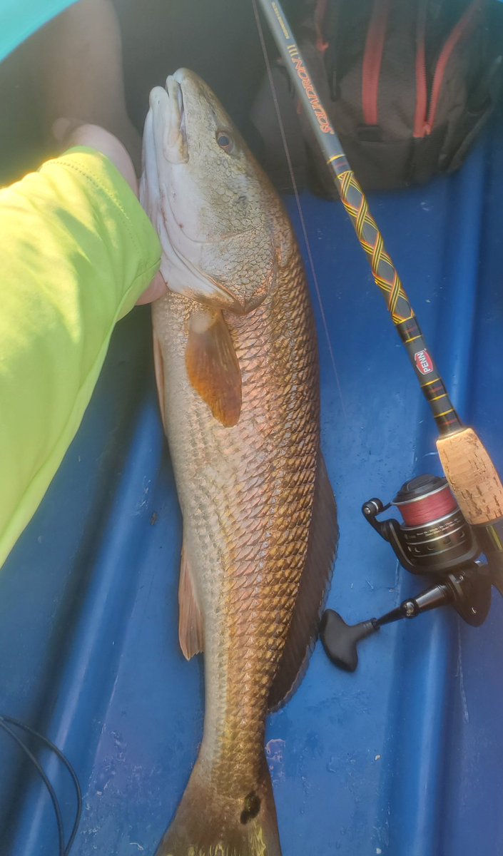 FishingTurdle's tweet photo. https://t.co/S0y1ldO782