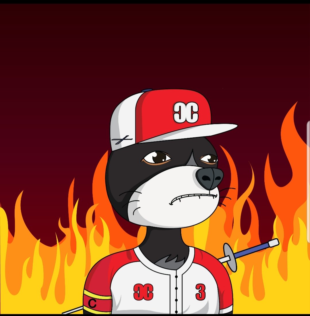PUBLIC MINT IS LIVE🔥

If you couldn't get on the cat list then public mint is here, with 1 sol you can get a life changing NFT😼, you wouldn't want to miss.

Flip or hold?🤔

#CareerCats #Mint #Solana #SolanaCommunity #NFTCommuntiy