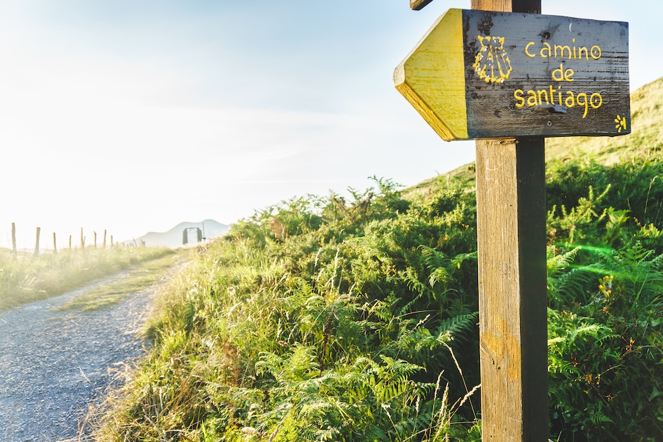 CultureTrumps's tweet photo. Has the weight of your own hubris ever kept you from reaching a goal? My experience with hubris while hiking El Camino de Santiago in Spain taught me a lesson I carried home with me. Learn what that lesson was in my new blog article.
https://t.co/ULW0I1RIxm https://t.co/Be10snv5P6