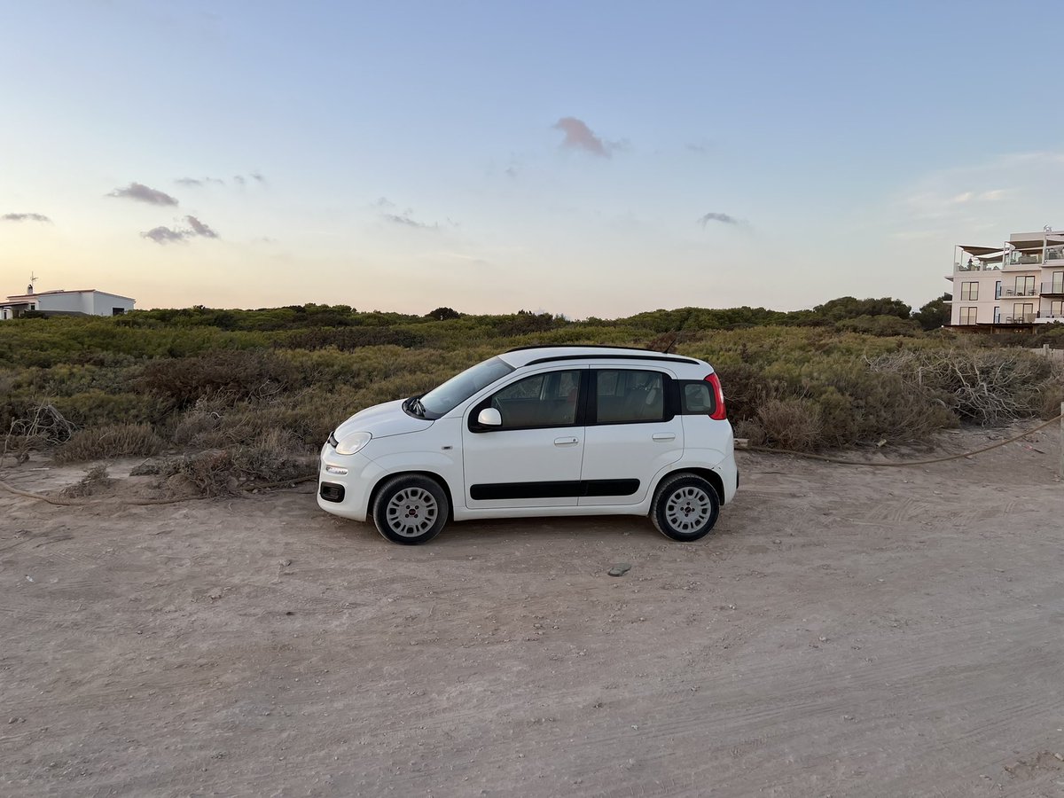 Zebedee Pedersen tweet media