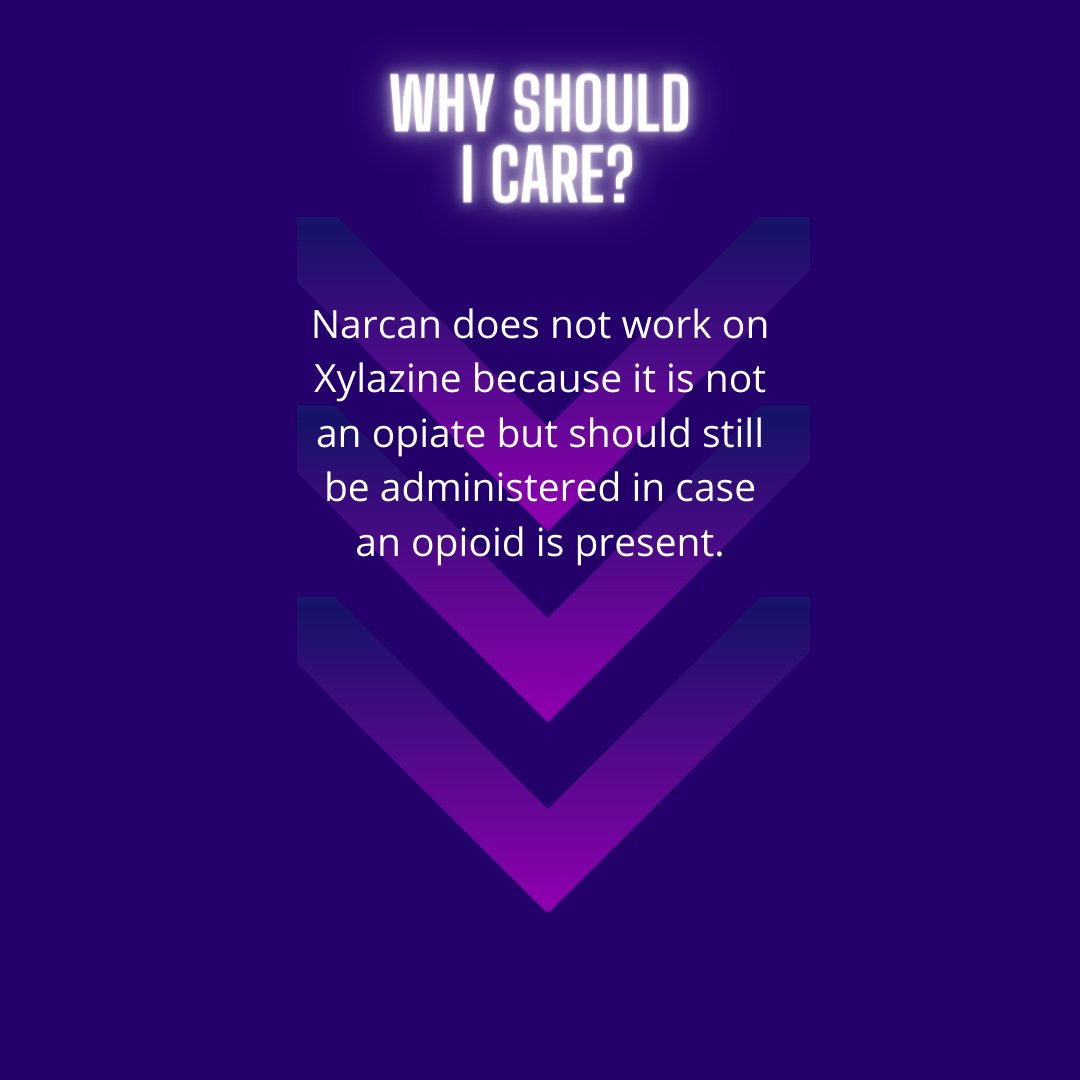 BeingAlive1986's tweet photo. What is Xylazine and why should I be concerned about it? https://t.co/Q6aBlw39KQ