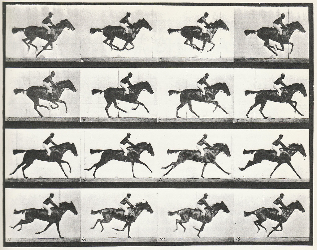 マイブリッジは、馬のギャロップを何度も撮影していて、、一番有名な写真は、1枚目(と2枚目)の連続写真。で、馬と騎手の頭部の黒さは光の再現としてちょっとおかしい塗りつぶしを感じる。シルエット化させることが目的となっているだろう。その後黒人のジョッキーなどの写真が撮られてるはず。 