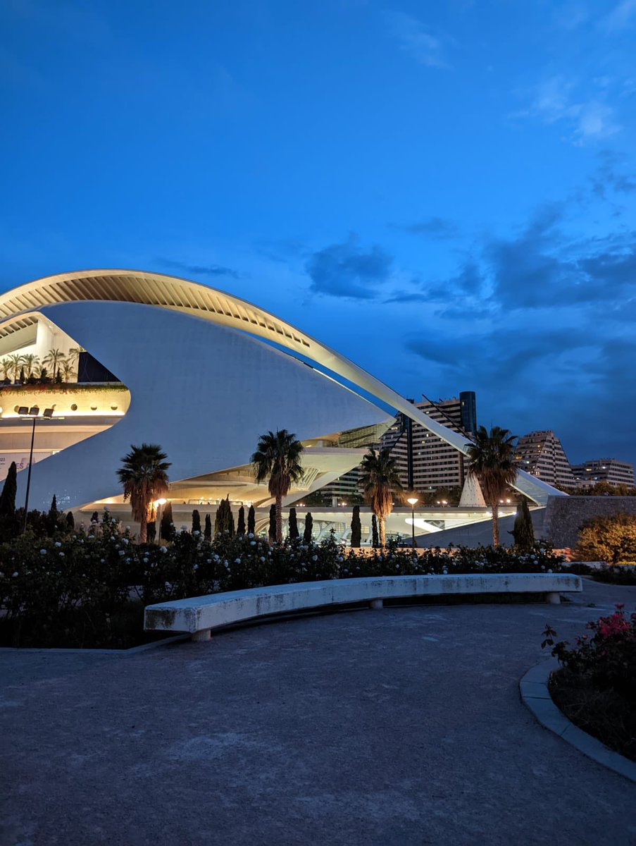 En las casas naranjas