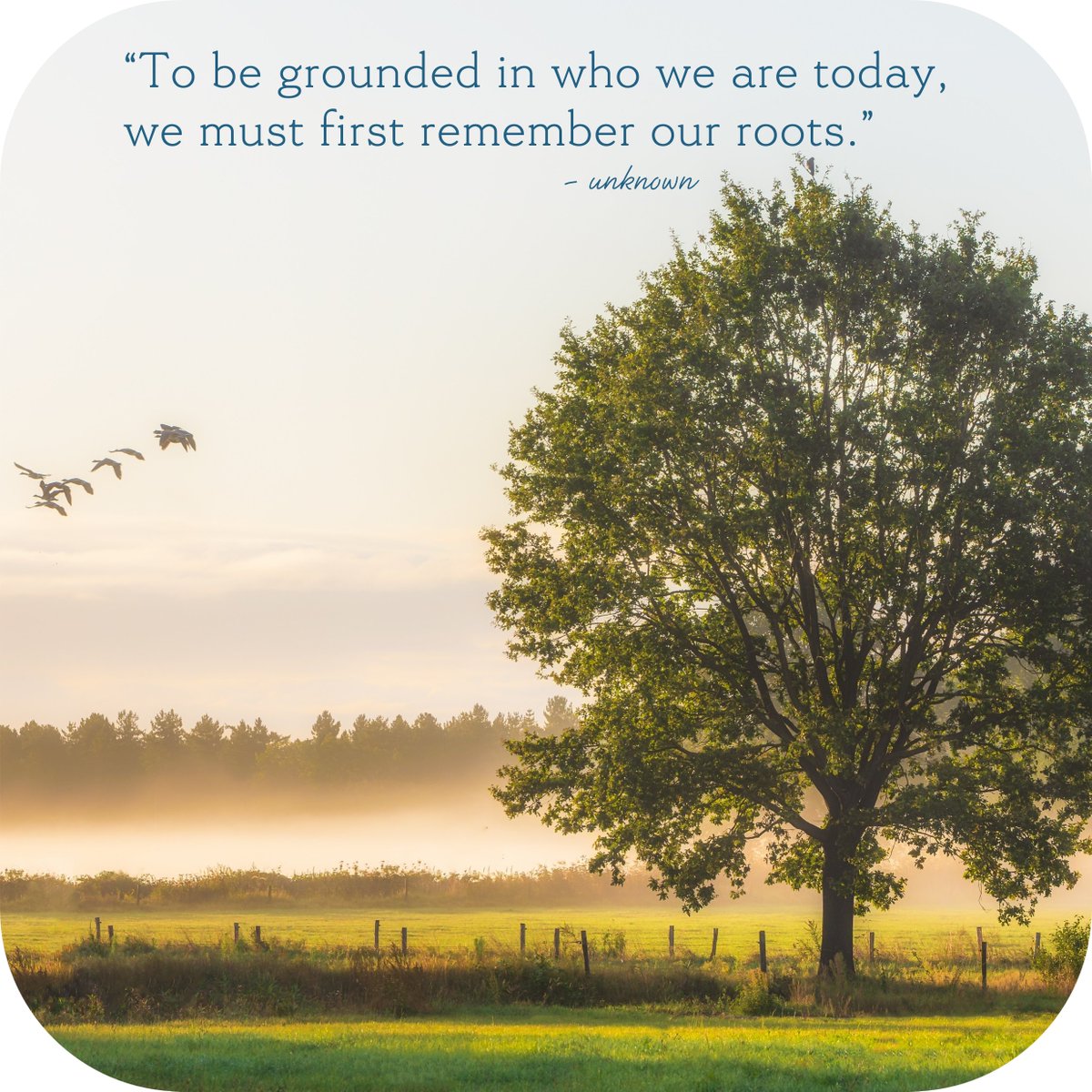 K_I_Sharp's tweet image. Knowing where you’ve come from, what you’ve lived through, and accepting it with an open heart helps us to be present and grounded in who we’ve become and where we are today. #WisdomWednesday