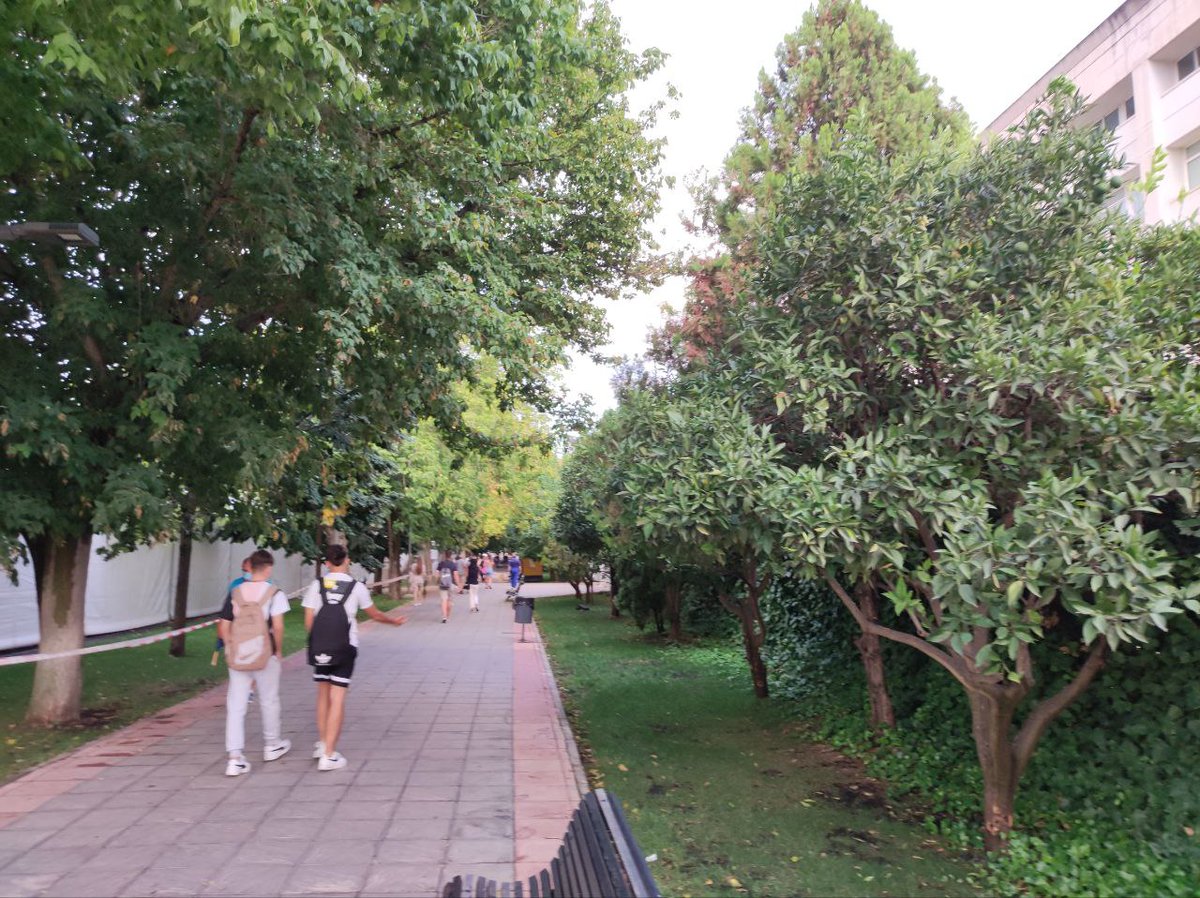 Pr0lly__'s tweet photo. La mejor forma de ir a la Uni; Caminar 
#jjrr22 #somosugr #ugrsaludable https://t.co/E2YHqkCCiL