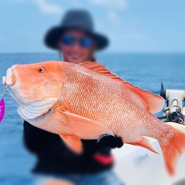 iOutdoor's tweet photo. #Snapper season is something you don't want to miss, dates still available! Call or DM for info

https://t.co/DPaaC8oRX5

#snapperfishing #snapperrocks #redsnapper #muttonsnapper #snappers #snapperseason #snapperfish #snpperpro #snapperfillet https://t.co/g675k7iz3h