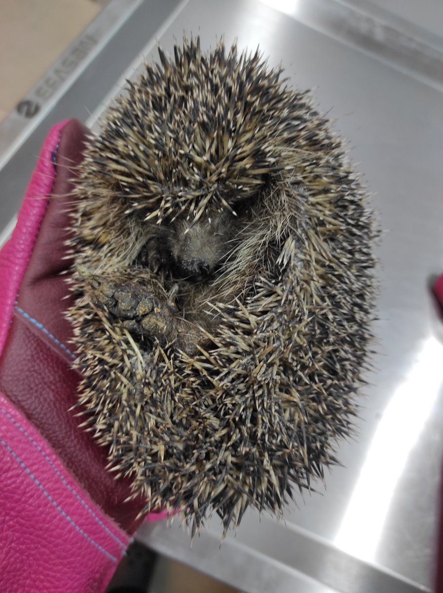 bu açılmıyo şifresini bilen var mı