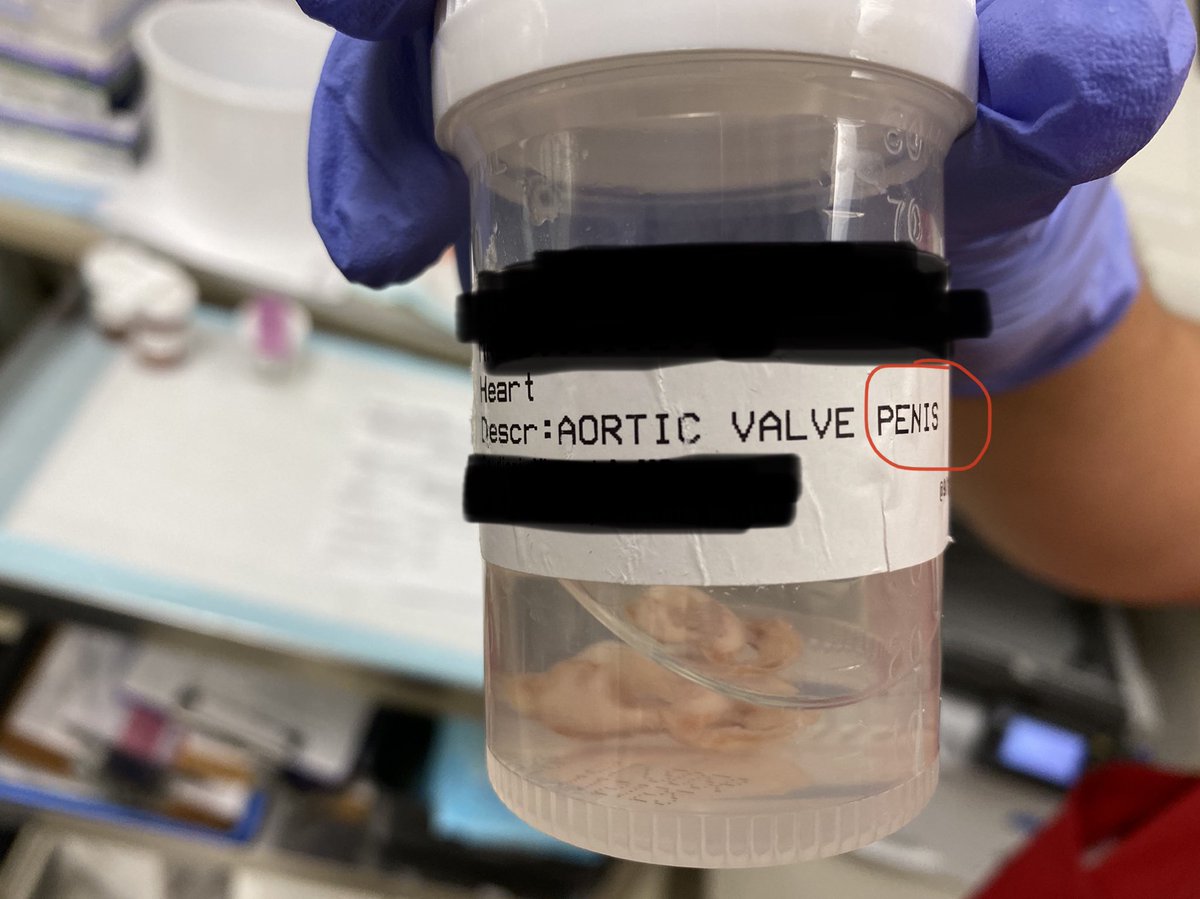 Ankur Sangoi tweet media