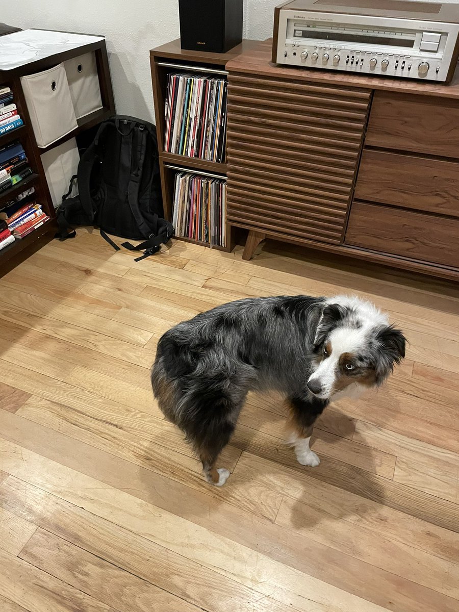 we_weigh's tweet photo. 42 pounds. https://t.co/8acRaTC2av