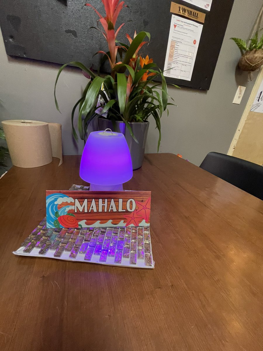 Blanca Feyjoo/ASM 6315 tweet media